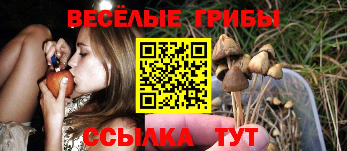 Тара  Галлюциногенные грибы мухоморы  Вход с VPN 
