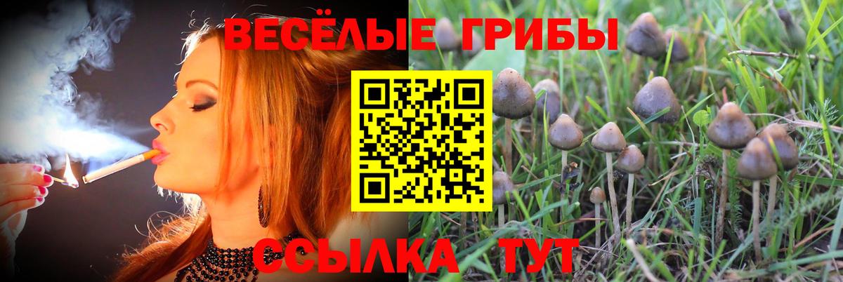 Галлюциногенные грибы мицелий Тара
